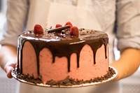 Freshly Baked Cake, free public domain CC0 photo.