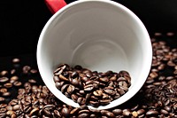Coffee Beans in Cup 