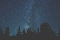 Starry night blue sky forest silhouette, free public domain CC0 photo.