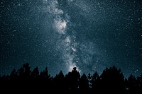 Starry sky over forest silhouette, free public domain CC0 photo.