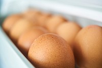 Free eggs in carton image, public domain food CC0 photo.