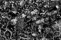 Free flint wall texture, gray photo, public domain abstract CC0 image.