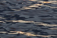 Rippled water texture surface, free public domain CC0 photo.