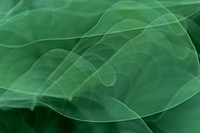 Free abstract green exposure background image, public domain CC0 photo.