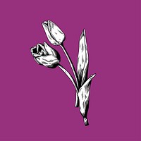 Tulip drawing flower nature vector icon on purple background