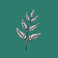 Leaves on branches drawing nature vector icon on green background