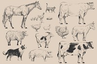 Illustration drawing style of farm animals collection