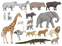 Illustration drawing style of animals collection