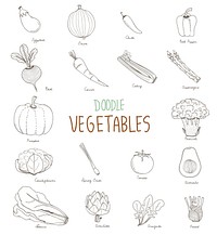 Vector of different kinds of vegetables