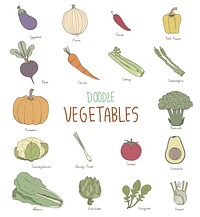 Vector of various vegetables