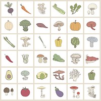 Set of colored vegetable illustrations