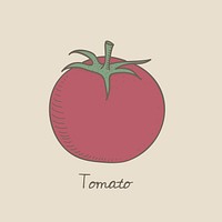Vector of a tomato