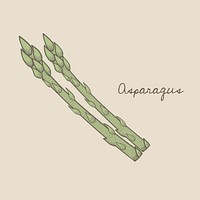 Vector of an asparagus