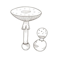 Vector of mushroom