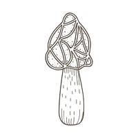 Vector of mushroom