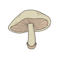 Vector of mushroom