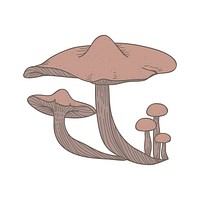 Vector of mushroom