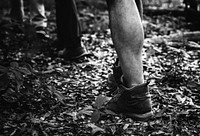 People trekking in the forest