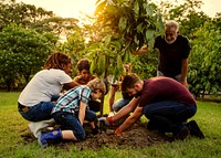 Group of people planting a new tree