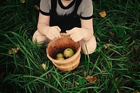 Young girl picking up some apples