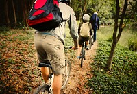 Active friends riding bicycles through the forest