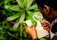 Biologist researching in the forest