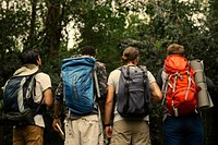 Friends with backpacks trekking though a forest
