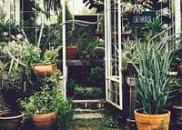 The entrance of a lush greenhouse