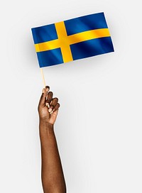 Person waving the flag of Kingdom of Sweden