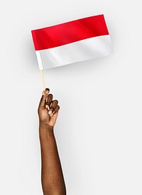 Person waving the flag of Principality of Monaco