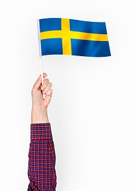 Person waving the flag of Kingdom of Sweden