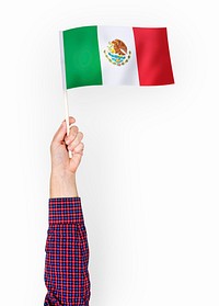 Person waving the flag of United Mexican States