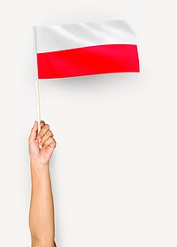 Person waving the flag of Republic of Poland