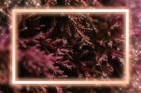 Botanic neon spruce frame psd