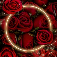 Red rose glowing frame psd