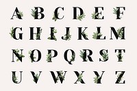 Botanical capital alphabet collection psd