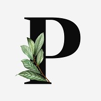 Botanical capital letter P font design