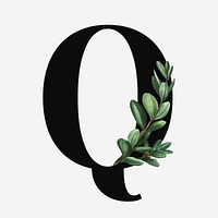 Botanical capital letter Q font design