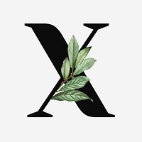 Botanical capital letter X font design