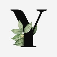 Botanical capital letter Y font design