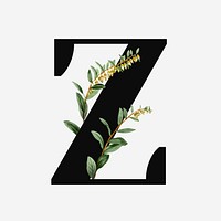 Botanical capital letter Z font design