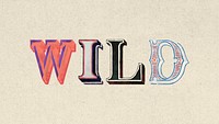 3D word wild vintage typography