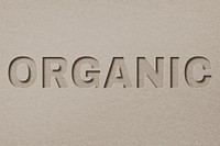 Organic paper cut font typography