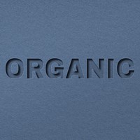 Organic 3d paper cut font typography