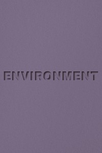 Environment word paper cut font shadow typography