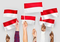 Hands waving flags of Indonesia