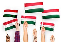 Hands waving flags of Hungary