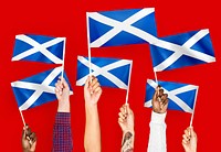 Hands waving flags of Scotland