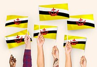 Hands waving flags of Brunei