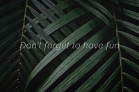 Don&#39;t forget to have fun quote on a palm leaves background
